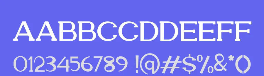 Artela Font by letterfiastudio — Serif Font — thumbnail 3