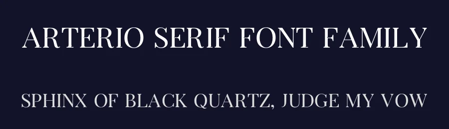 Arterio Serif Font Family by RC graphics — Serif Font — thumbnail 2