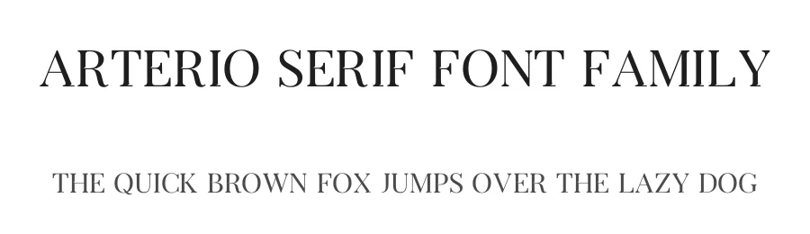 Arterio Serif Font Family by RC graphics — Serif Font