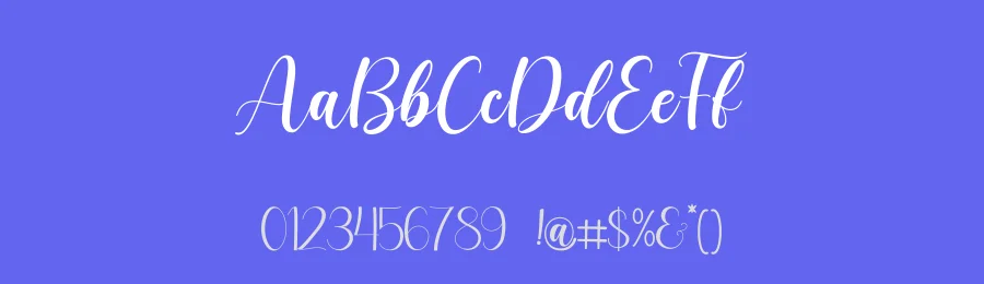 Artisia Calligraphy Font by Basnistudio — Script Handwritten Font — thumbnail 3