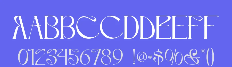 Arunela Font by Letterara Studio — Serif Font — thumbnail 3