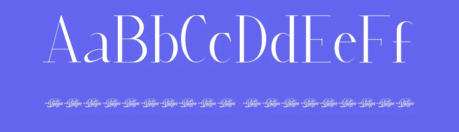 Arwiena Zaniy Font by VinType — Display Font — thumbnail 3