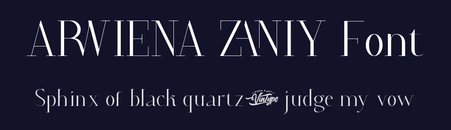 Arwiena Zaniy Font by VinType — Display Font — thumbnail 2