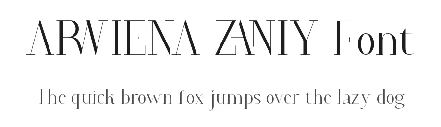Arwiena Zaniy Font by VinType — Display Font