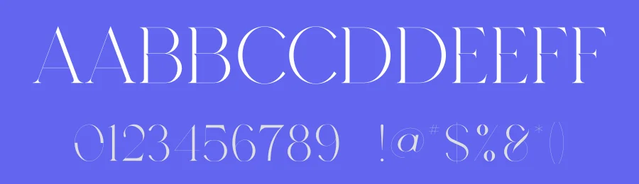 Ashina Font by vpcreativeshop — Serif Font — thumbnail 3