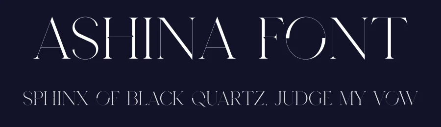 Ashina Font by vpcreativeshop — Serif Font — thumbnail 2