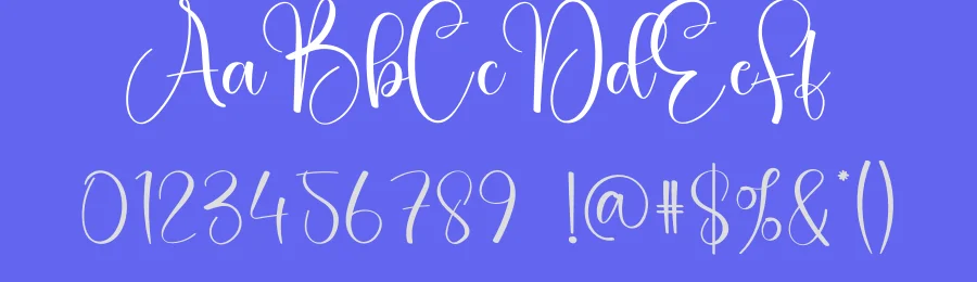 Ashley Calligraphy Font by creativeletter — Script Handwritten Font — thumbnail 3
