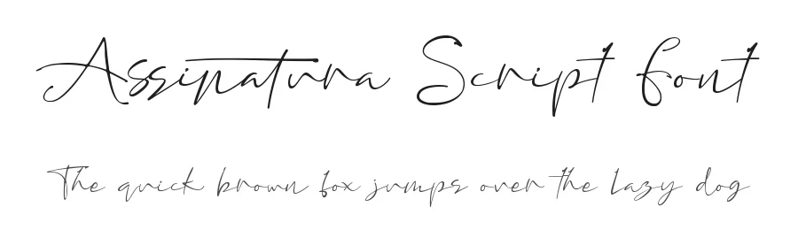 Assinatura Script Font by Leterara — Script Handwritten Font