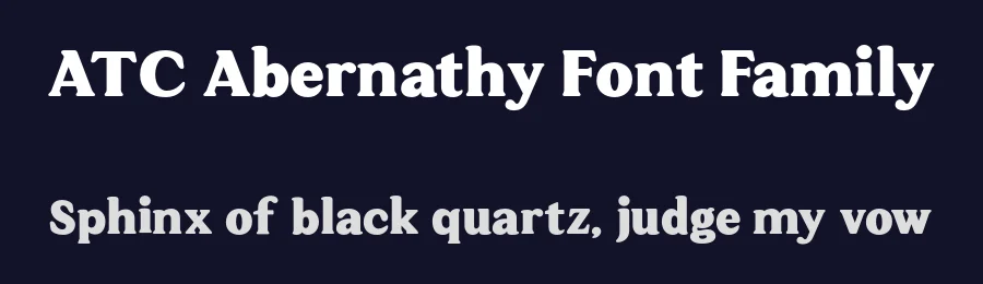 ATC Abernathy Font Family by Avondale Type Co — Serif Font — thumbnail 2