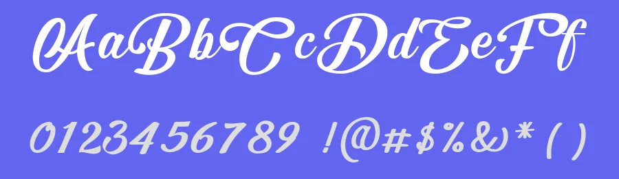 Athalita Brush Stylist Font by SheillaType Store — Script Handwritten Font — thumbnail 3