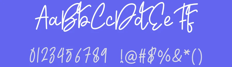 Attachment Signature Script Font by creativeletter — Script Handwritten Font — thumbnail 3