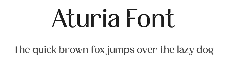 Aturia Font by Nollevs — Decorative Font