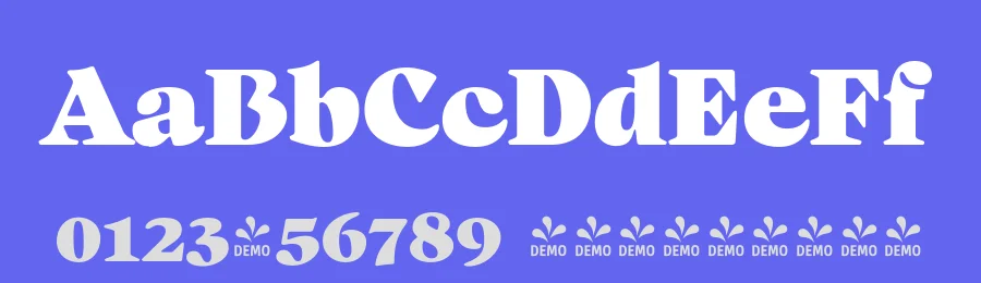 Audacious Font Family by GoodePhotography — Serif Font — thumbnail 3