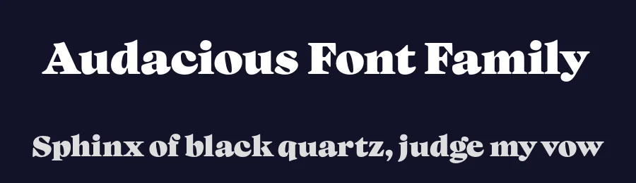 Audacious Font Family by GoodePhotography — Serif Font — thumbnail 2