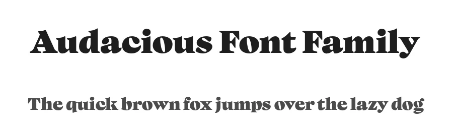 Audacious Font Family by GoodePhotography β Serif Font