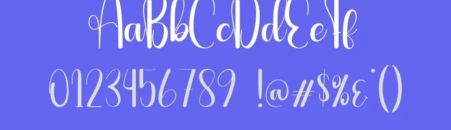 Audience Script Font by creativeletter — Script Handwritten Font — thumbnail 3