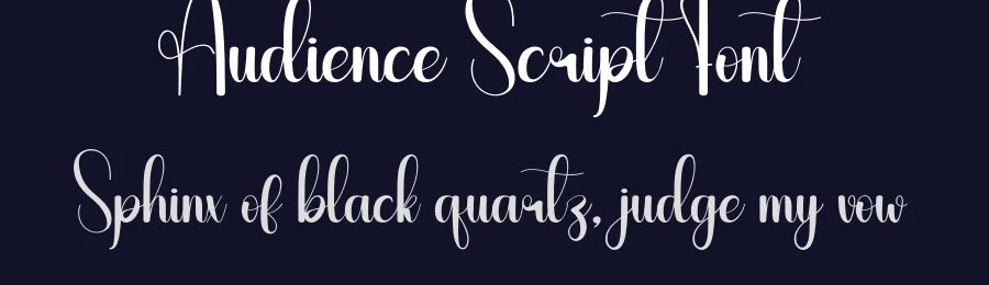 Audience Script Font by creativeletter — Script Handwritten Font — thumbnail 2