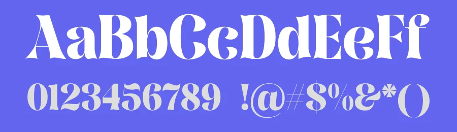August Bright Font by Rantautype — Serif Font — thumbnail 3