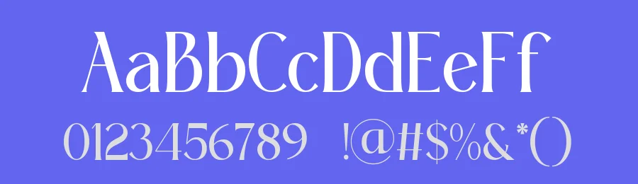 Auleriz || Modern Elegant Serif Font by ErmediaStudio — Display Font — thumbnail 3