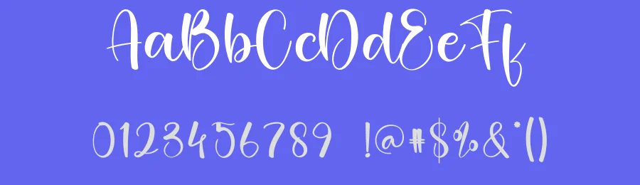 Aunty Script Font by creativeletter — Script Handwritten Font — thumbnail 3
