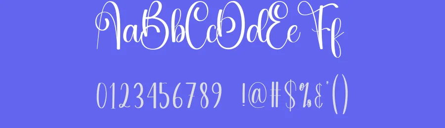 Aunty Script Typeface by andikastudio — Script Handwritten Font — thumbnail 3