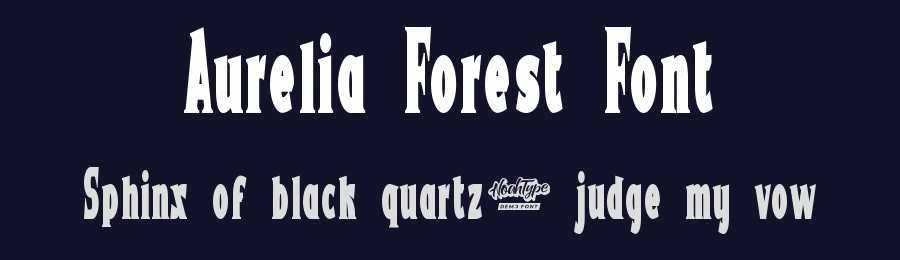 Aurelia Forest Font by noahtype — Display Font — thumbnail 2