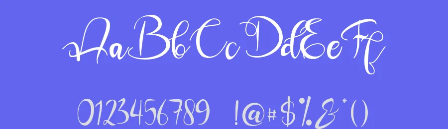 Aurora Calligraphy Font by Leterara — Script Handwritten Font — thumbnail 3