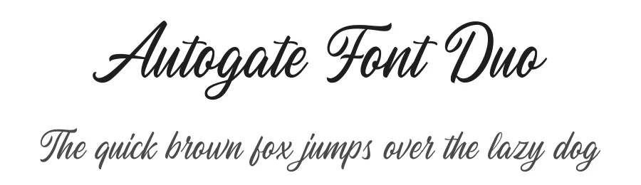 Autogate Font Duo by Letterhend — Decorative Font