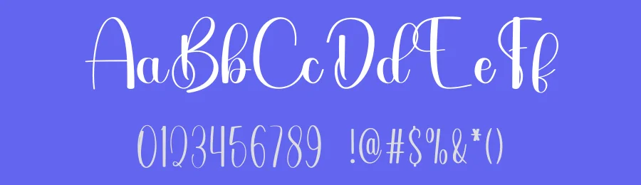 Autographer Calligraphy Font by freshtypeink — Script Handwritten Font — thumbnail 3