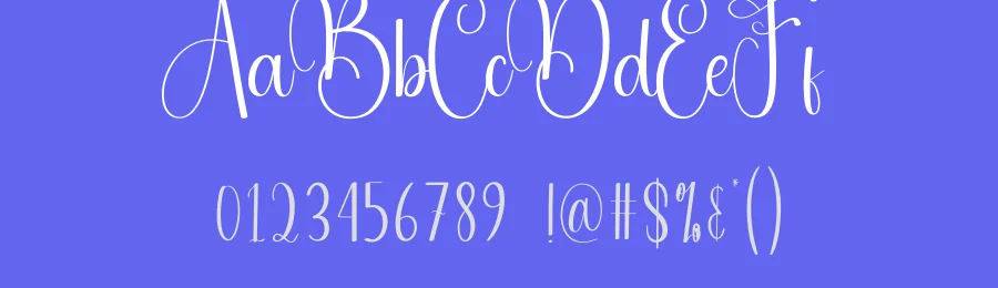 Autography Calligraphy Font by andikastudio — Script Handwritten Font — thumbnail 3
