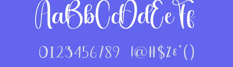 Autography Calligraphy Font by andikastudio — Script Handwritten Font — thumbnail 3