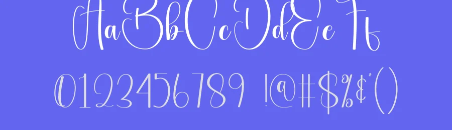 Autography Calligraphy Script Font by andikastudio — Display Font — thumbnail 3