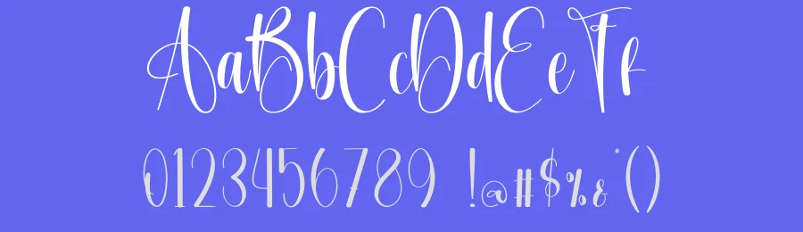 Autography Calligraphy Typeface by creativeletter — Script Handwritten Font — thumbnail 3