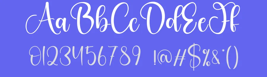 Autography Modern Handwritten Font by creativeletter — Script Handwritten Font — thumbnail 3