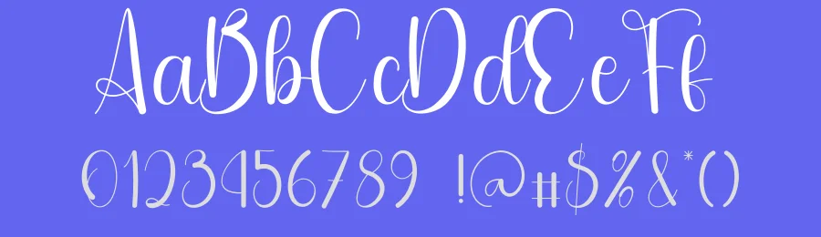 Autography Script Display Font by freshtypeink — Script Handwritten Font — thumbnail 3