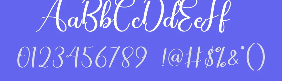 Autography Script Typeface by creativeletter — Script Handwritten Font — thumbnail 3