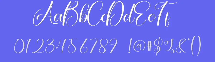 Autography Script Typeface by creativeletter — Script Handwritten Font — thumbnail 3