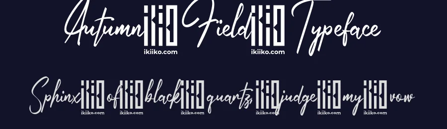 Autumn Field Typeface by ikiiko type — Script Handwritten Font — thumbnail 2