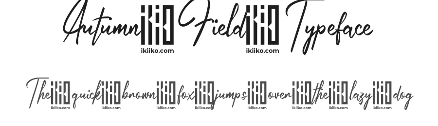 Autumn Field Typeface by ikiiko type โ Script Handwritten Font