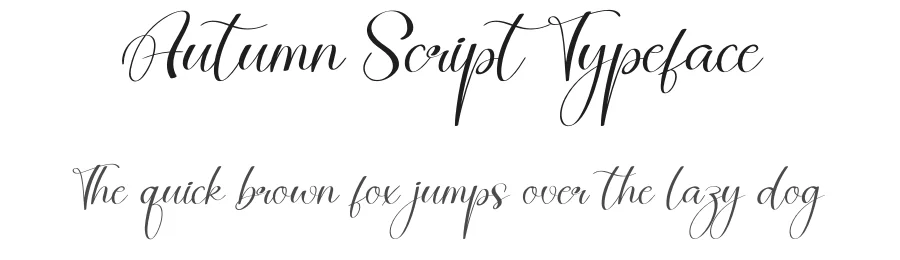 Autumn Script Typeface by creativeletter — Script Handwritten Font