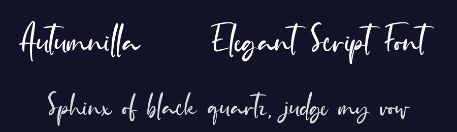 Autumnilla – Elegant Script Font by Almarkha Type — Decorative Font — thumbnail 2
