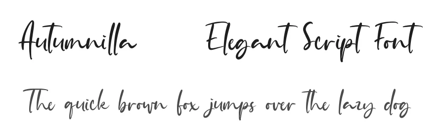 Autumnilla – Elegant Script Font by Almarkha Type — Decorative Font