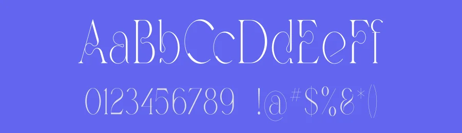 Avalyn Font by vpcreativeshop — Serif Font — thumbnail 3