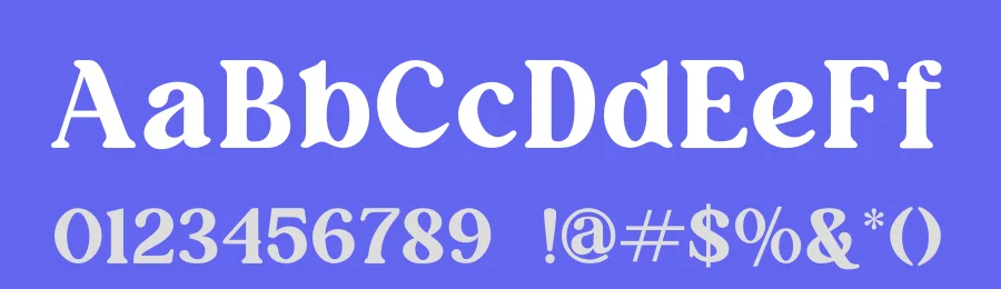 Avenita Font by saemooncreative — Serif Font — thumbnail 3