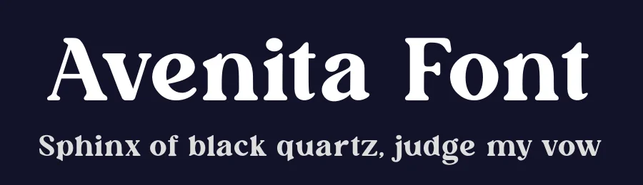 Avenita Font by saemooncreative — Serif Font — thumbnail 2