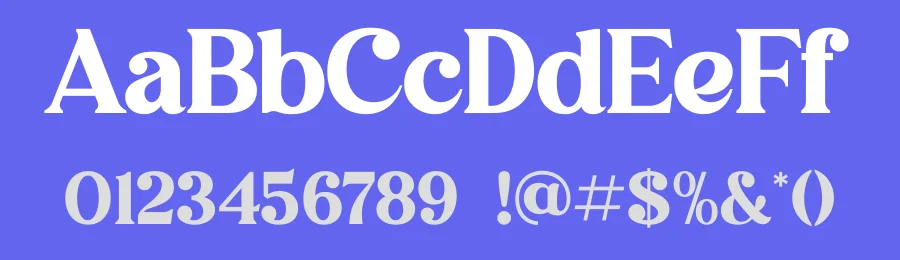 Avigea Modern Serif Font Display by Storytype — Decorative Font — thumbnail 3