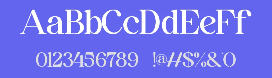 Avilla Mirabel Font by SlideShoot — Serif Font — thumbnail 3