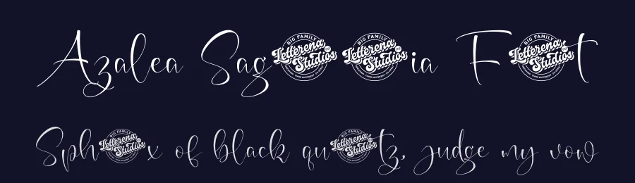 Azalea Sageretia Font by letterenastudios — Script Handwritten Font — thumbnail 2