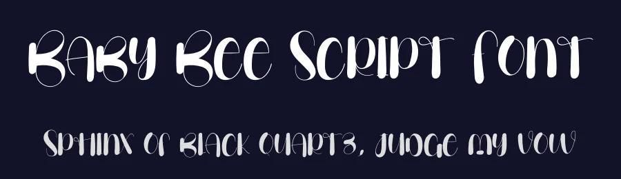 Baby Bee Script Font by creativeletter — Script Handwritten Font — thumbnail 2