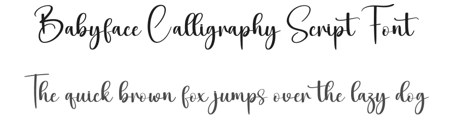 Babyface Calligraphy Script Font by creativeletter — Script Handwritten Font